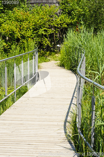 Image of Wooden walking path