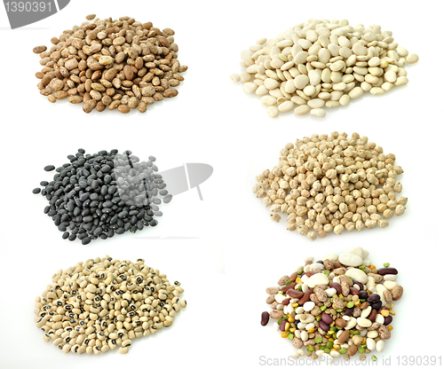 Image of Raw Beans Collection