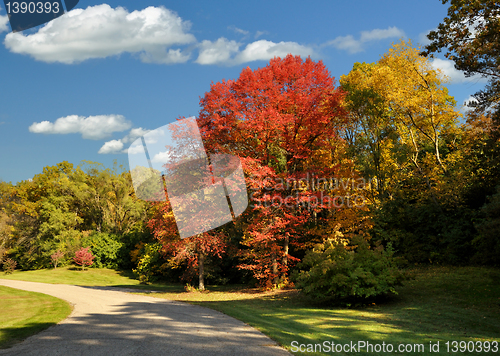 Image of Road In The Park