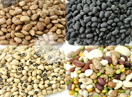 Image of Raw Beans Collection