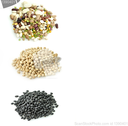 Image of Raw Beans Collection