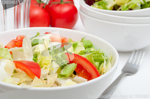 Image of Fresh Vegetable Salad