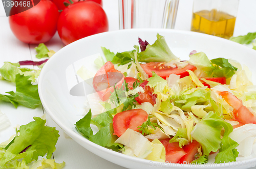 Image of Fresh Vegetable Salad