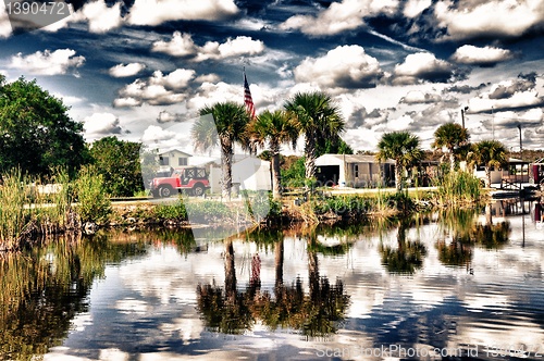 Image of everglades scene