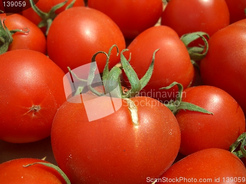 Image of Tomatoes