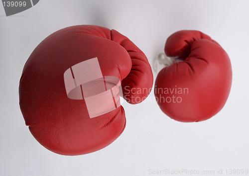 Image of Boxing glouse