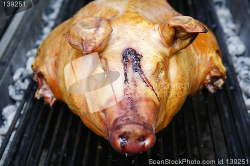 Image of Barbeque pig.