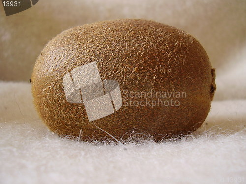 Image of Kiwi