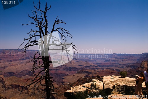 Image of Grand Canyon