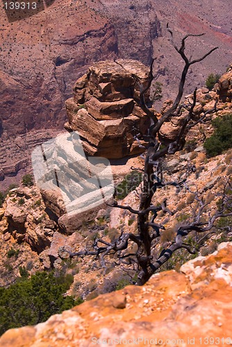 Image of Grand Canyon