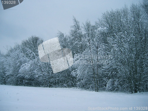 Image of Norwegian wintertime