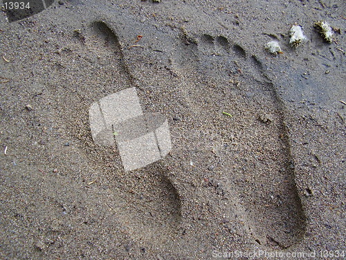 Image of Footprints