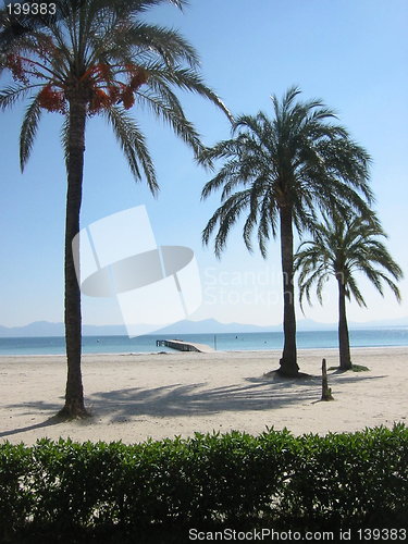 Image of Alcudia