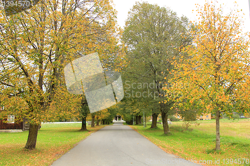 Image of Alley in the fall.