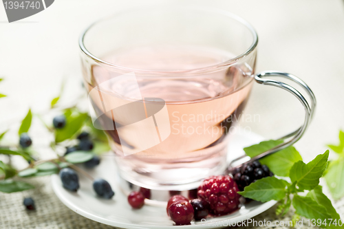 Image of forest berry tea