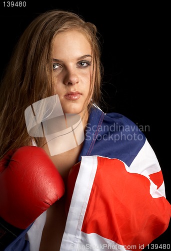 Image of british boxer