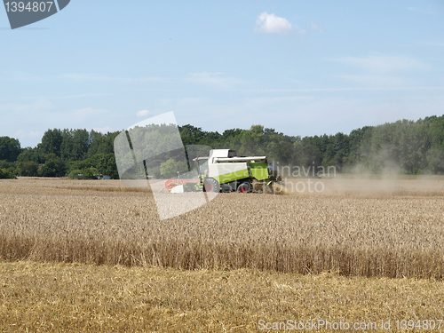 Image of Harvest