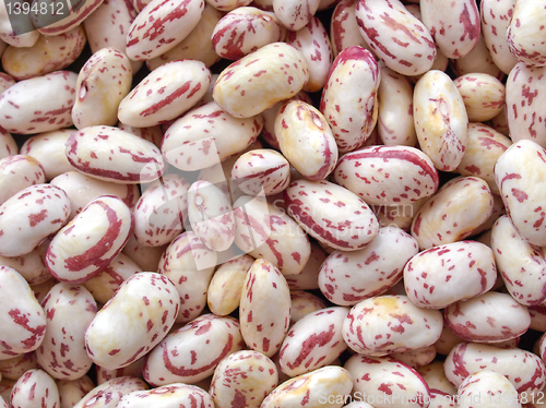 Image of Beans salad