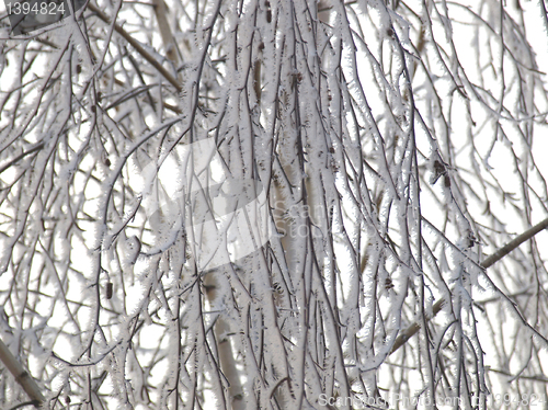 Image of Winter picture