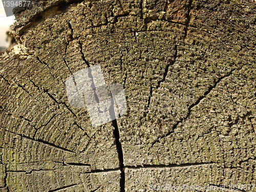 Image of Wood picture