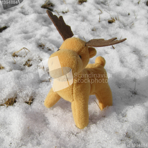 Image of Deer picture
