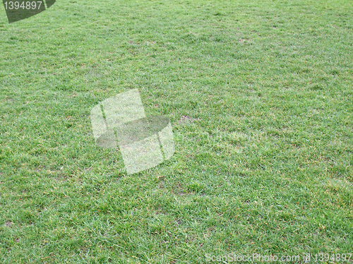 Image of Meadow picture