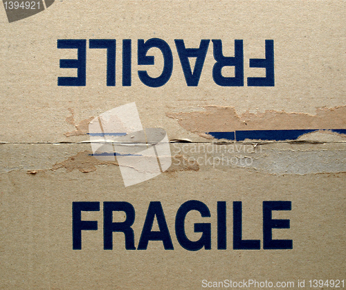 Image of Fragile