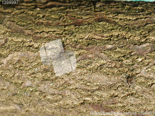 Image of Wood picture