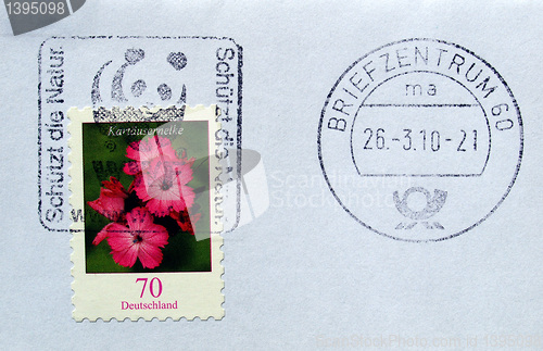 Image of Flower picture