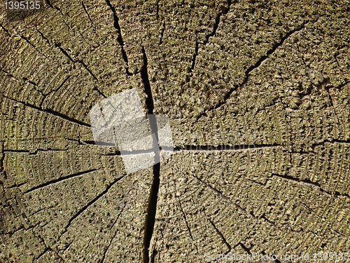 Image of Wood picture