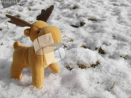 Image of Deer picture