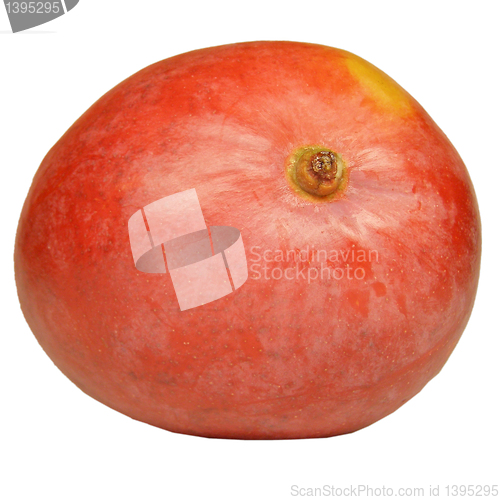 Image of Mango fruit