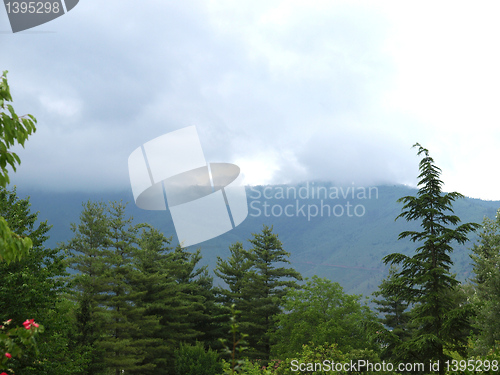 Image of Hill picture