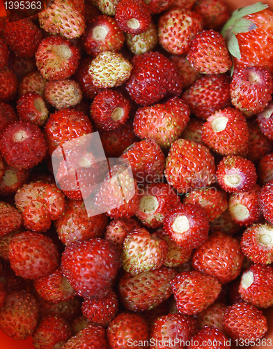 Image of Strawberries