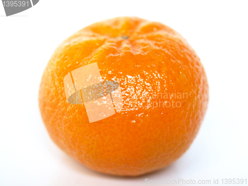 Image of Tangerine