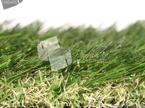 Image of Artificial meadow