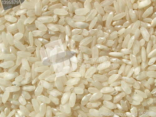 Image of Rice picture