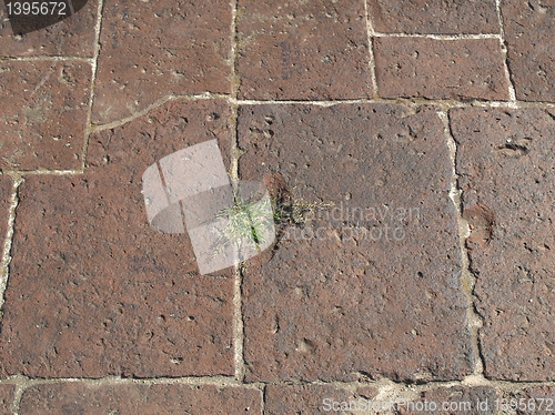 Image of Roman floor