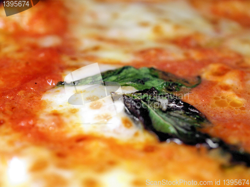 Image of Pizza picture