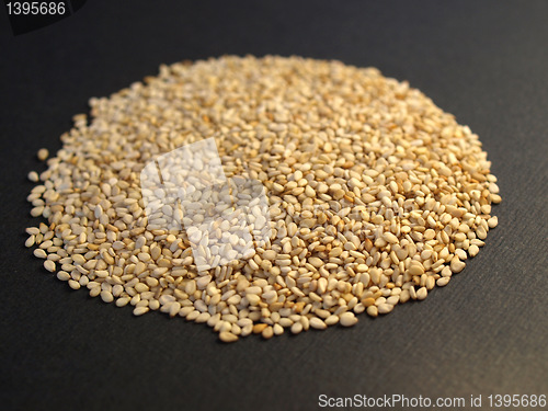 Image of Sesame seeds