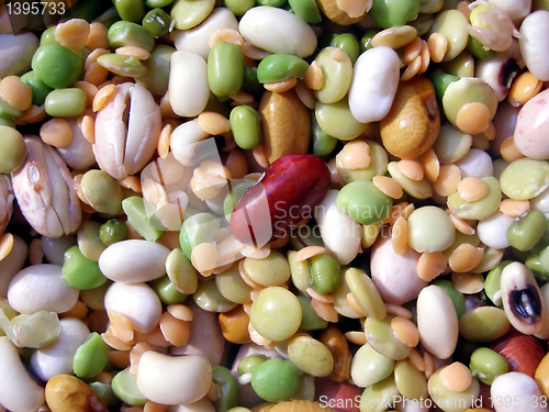 Image of Beans salad