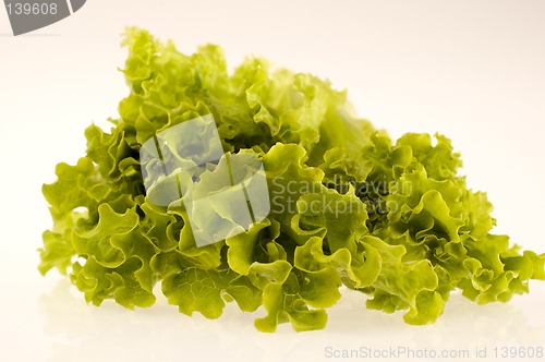 Image of salad2