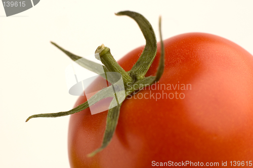 Image of tomato4