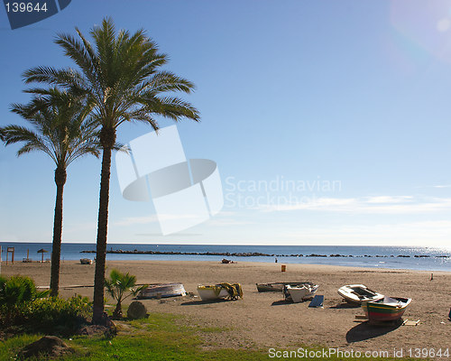 Image of boats and palm trees