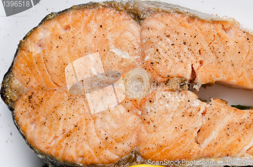 Image of Grilled salmon closeup