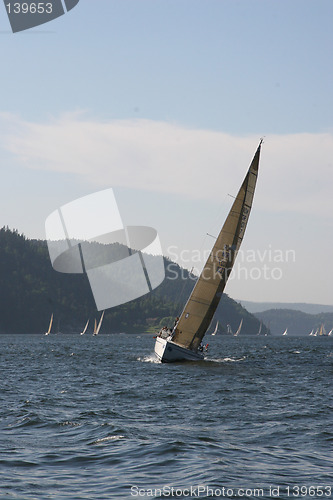 Image of Sailing