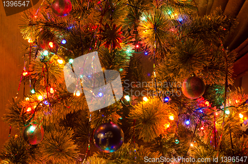 Image of Christmas fur-tree