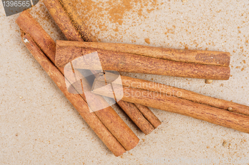 Image of Cinnamon