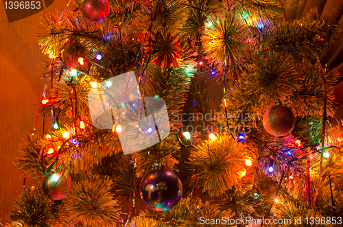 Image of Christmas fur-tree