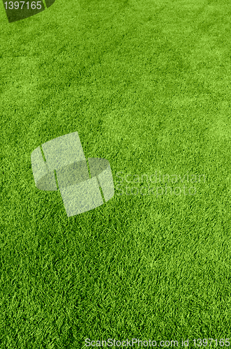 Image of green grass texture